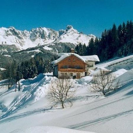 Fesengut Hotel Annaberg im Lammertal Bagian luar foto