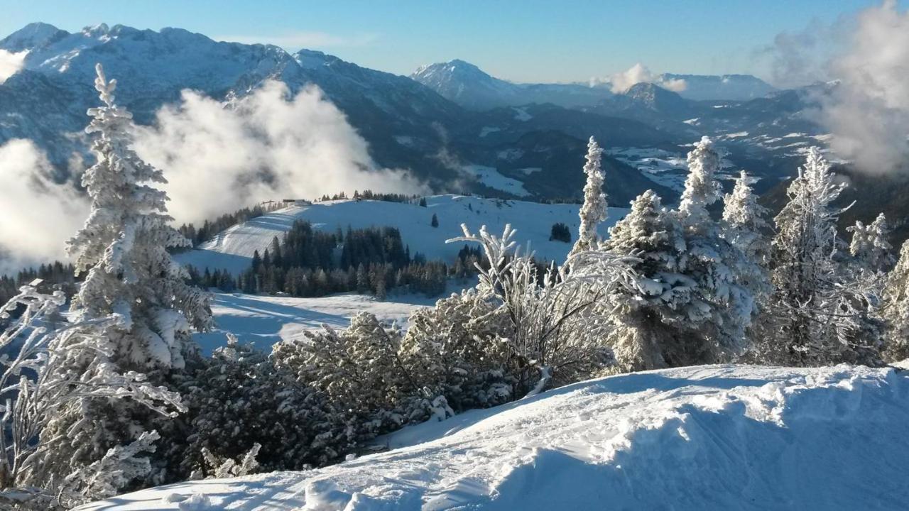 Fesengut Hotel Annaberg im Lammertal Bagian luar foto