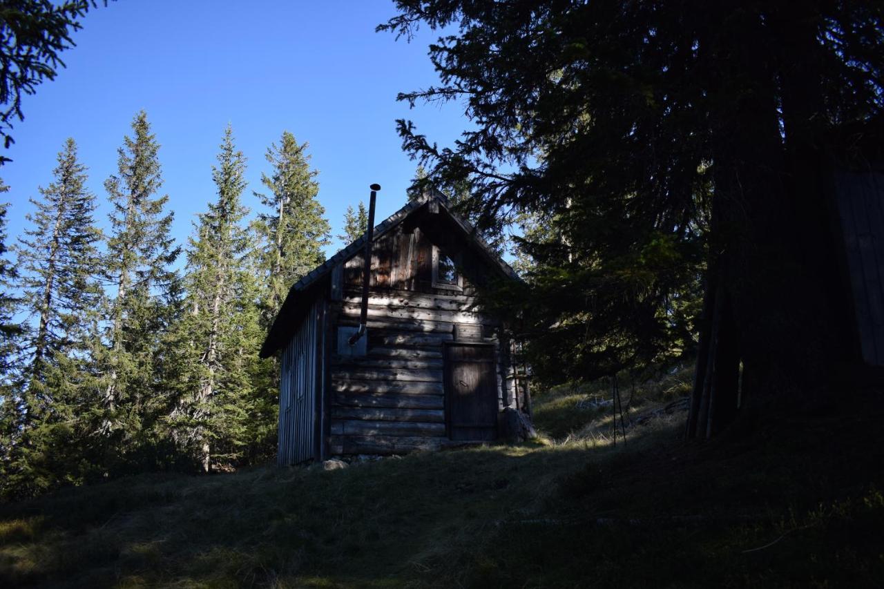 Fesengut Hotel Annaberg im Lammertal Bagian luar foto