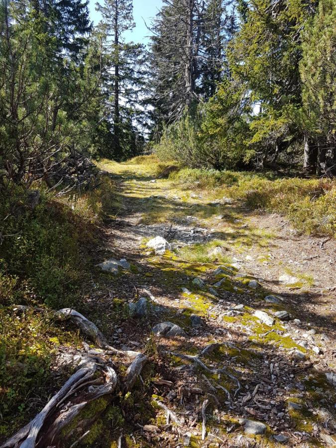 Fesengut Hotel Annaberg im Lammertal Bagian luar foto