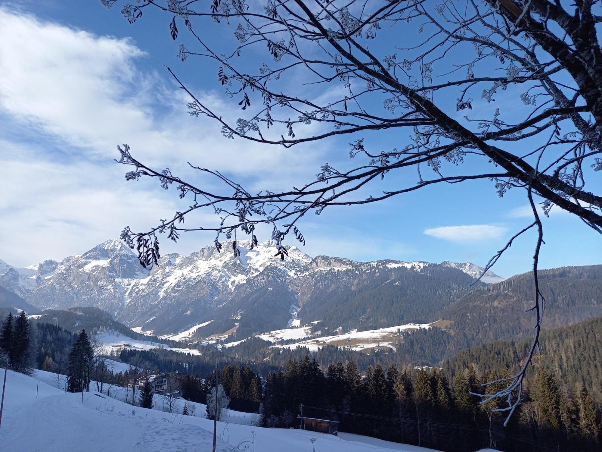 Fesengut Hotel Annaberg im Lammertal Bagian luar foto