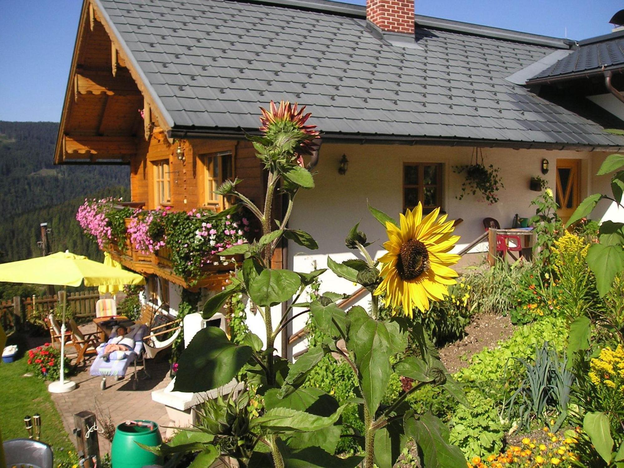 Fesengut Hotel Annaberg im Lammertal Bagian luar foto