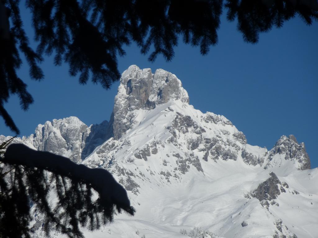 Fesengut Hotel Annaberg im Lammertal Bagian luar foto